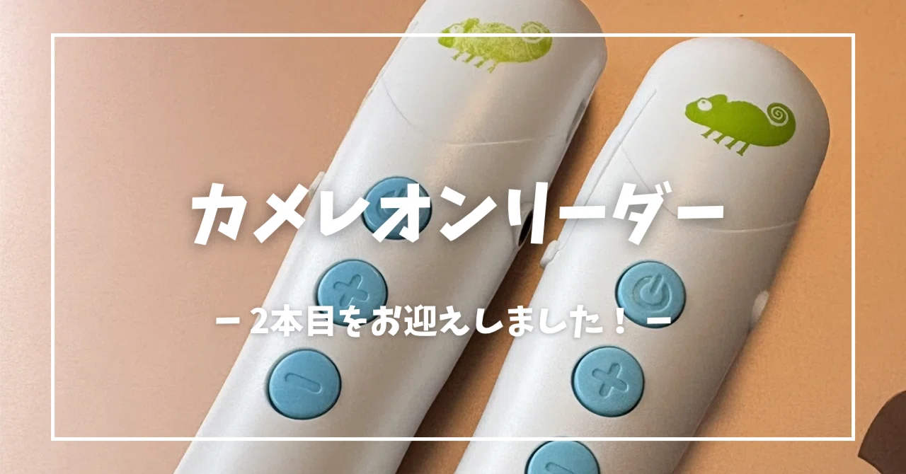 カメレオンリーダー 待望の再入荷】カメレオンリーダーのタッチペン2本目をお迎えしました