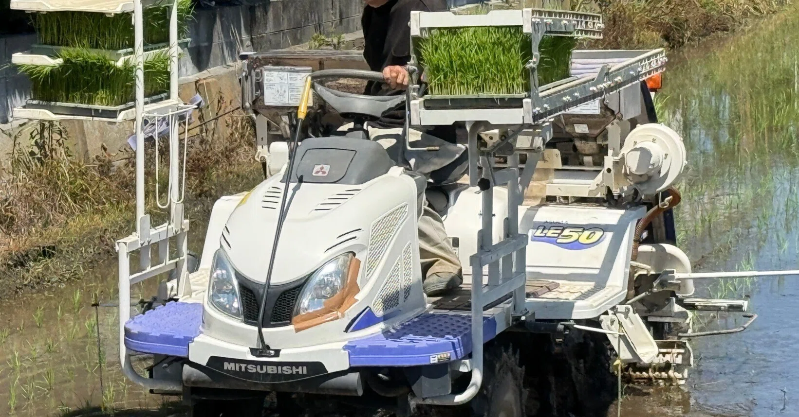 植田　直接取引限定 2026にこまる（8）田植え機の運転｜NicePapa 平野 尚志
