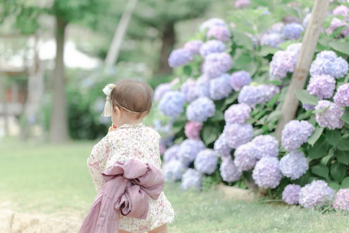 画像23