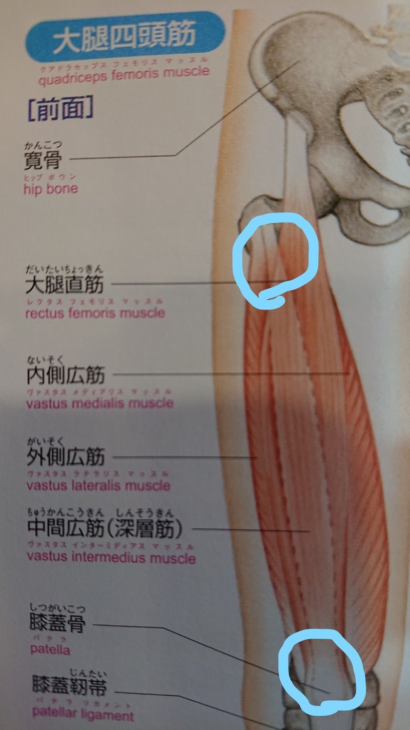 美容整体 大転子を引っ込めて 太ももの外張りをなくしたい方へ リンパ整体師 キョーコ Note 美容整体 大転子を引っ込めて 太ももの外張りをなくしたい方へ リンパ整体師 キョーコ Note
