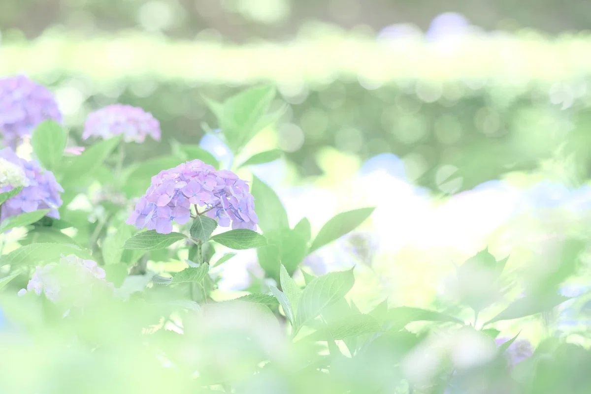 画像24