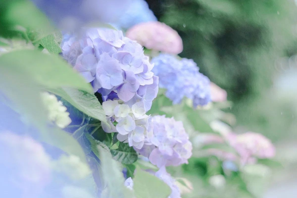 画像25