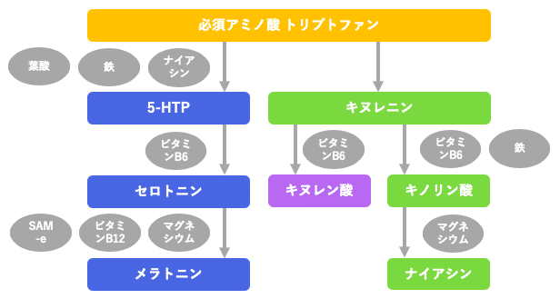 スクリーンショット 2020-06-17 11.17.54