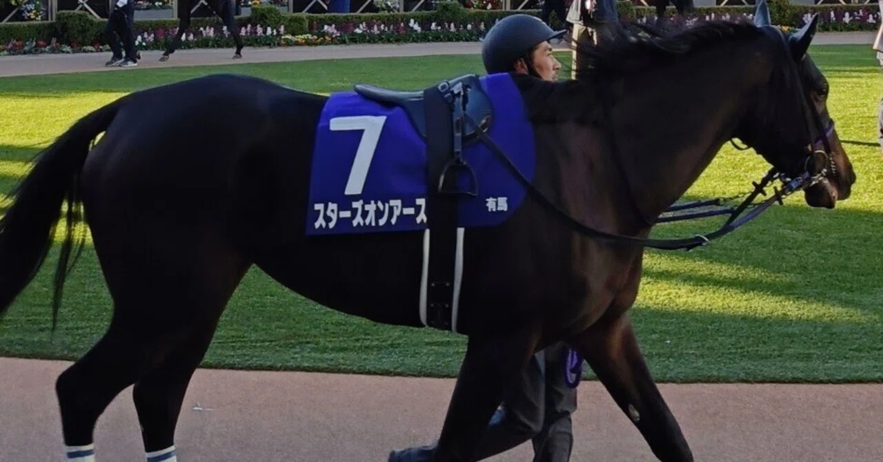 社台サラブレッドクラブ25産の診断（厳選編）｜RINO（整体療術師）