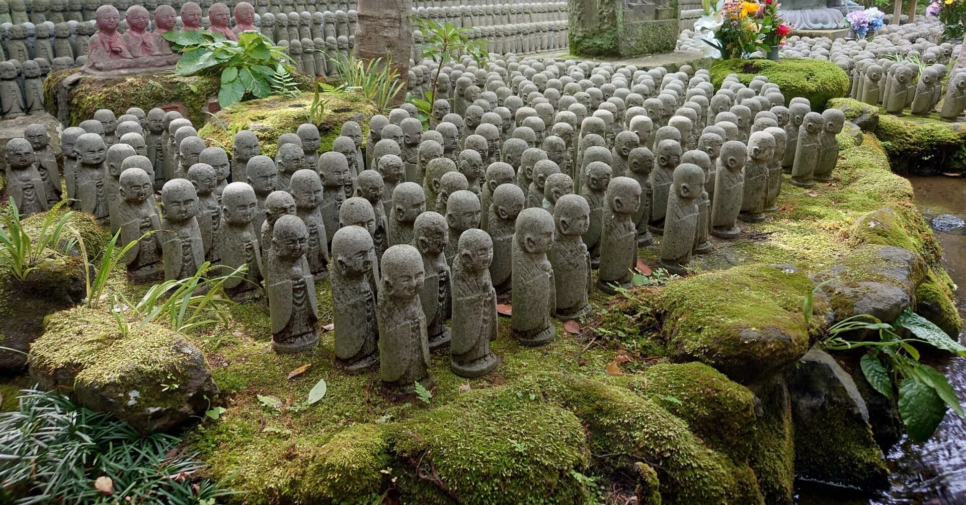 Aiming to Pass the Kamakura Certification Level 1! Extra Edition