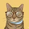 猫めがね