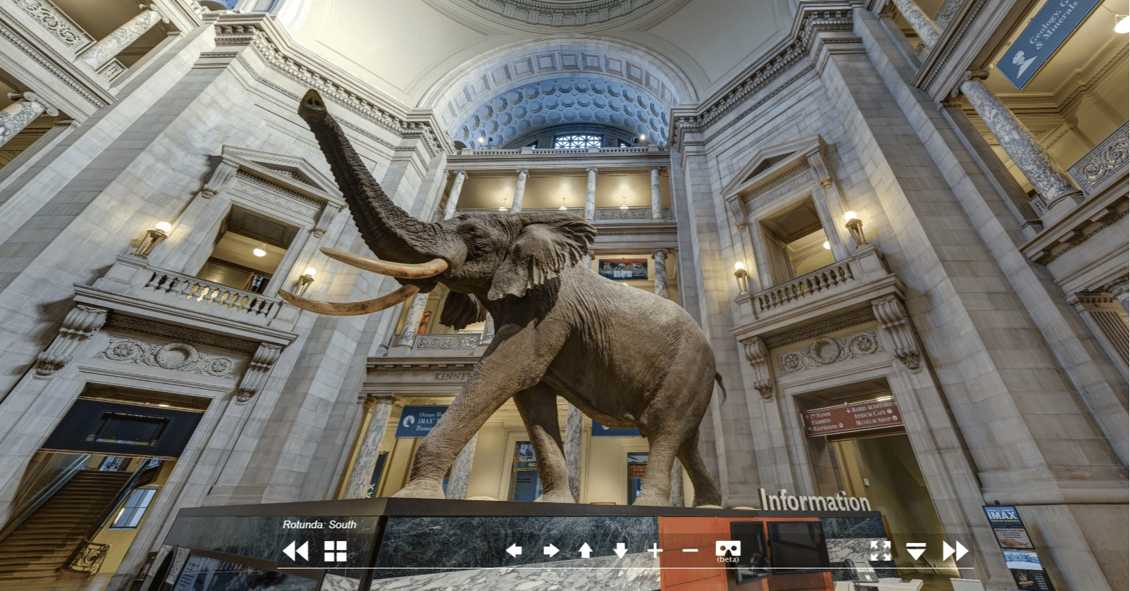 楽しすぎる スミソニアン国立自然史博物館 バーチャル ツアー 高橋昌一郎 Note 楽しすぎる スミソニアン国立自然史博物館 バーチャル ツアー 高橋昌一郎 Note