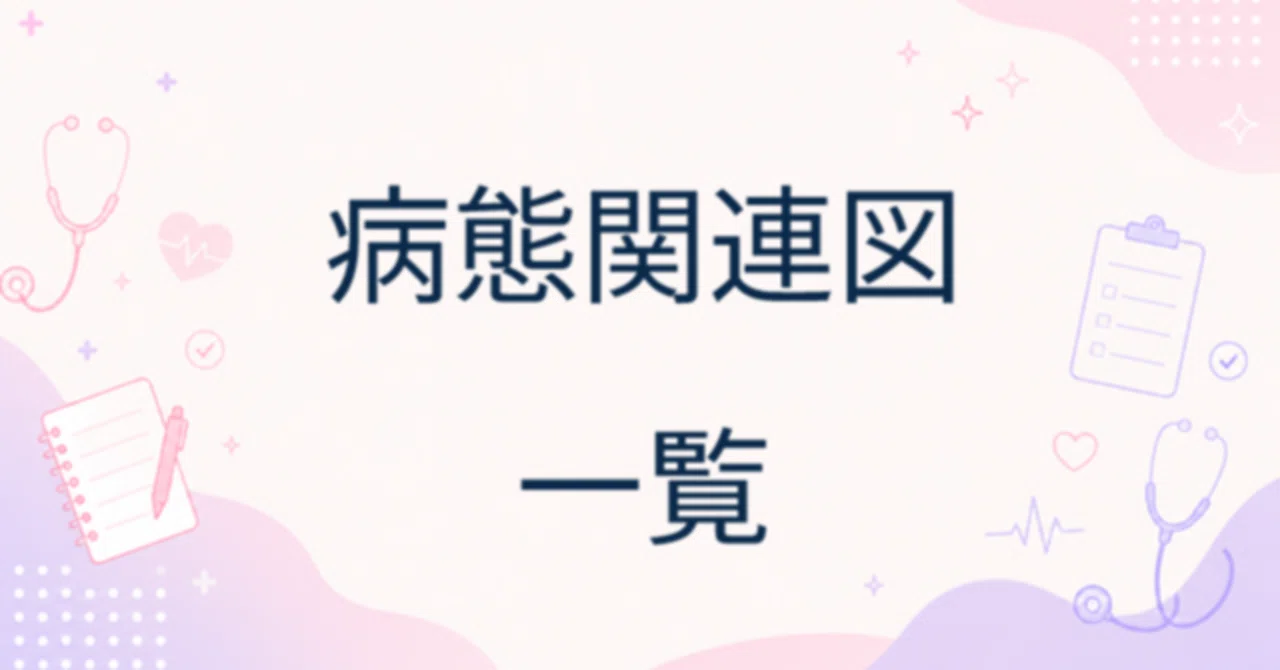 ⭐️おまとめ割⭐️看護 実習 国試 アセスメント 関連図 情報収集 急性