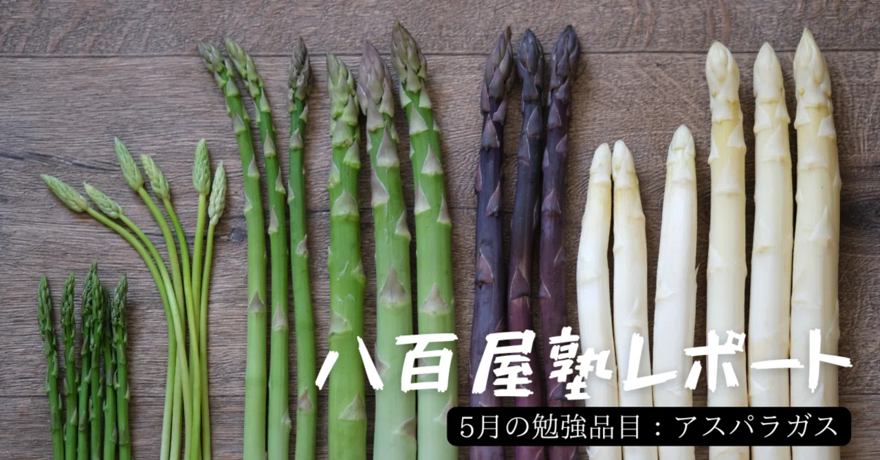 八百屋塾レポート】 勉強品目：アスパラガス（2026/5/17開催）｜八百屋塾