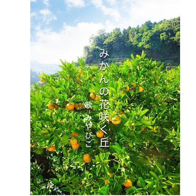 みかんの花咲く丘 歌 みやびこ カタリフ 雅 Note みかんの花咲く丘 歌 みやびこ カタリフ 雅 Note