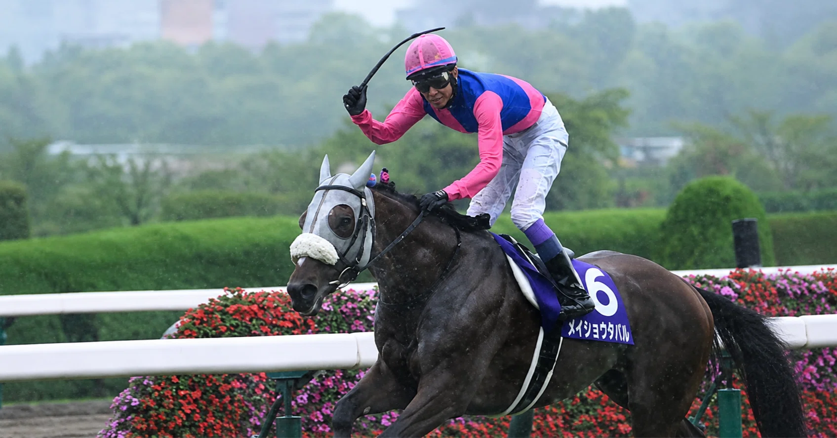競馬】宝塚記念のメイショウタバルが主人公すぎた話【日記】｜ゴトー