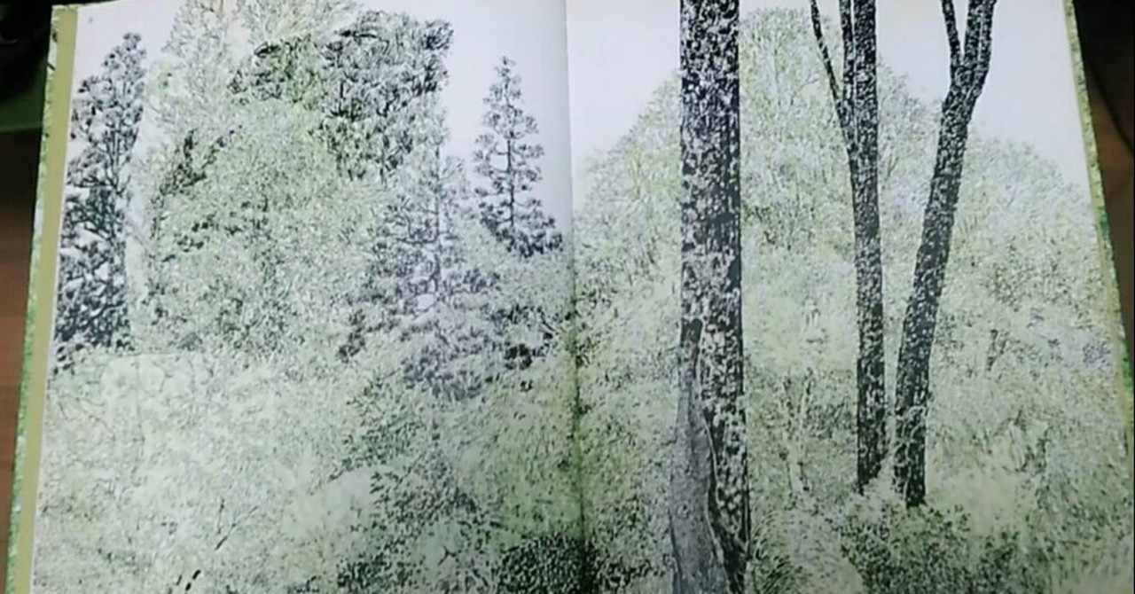 もりのえほん の新着タグ記事一覧 Note つくる つながる とどける