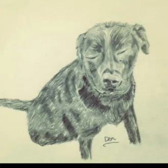 DEN