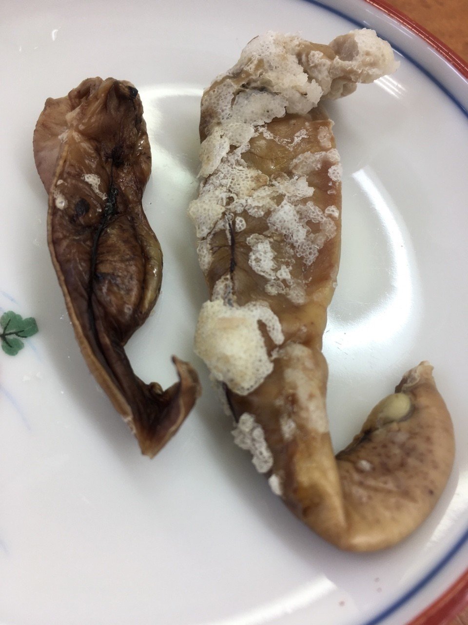 ニシンの白子 旭井正博 魚正 Note ニシンの白子 旭井正博 魚正 Note