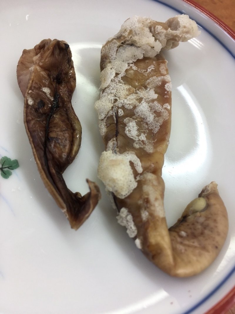 ニシンの白子 富山の魚正 Note