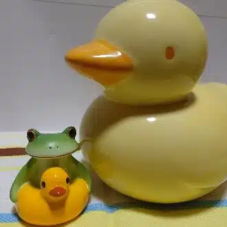のんよっこ
