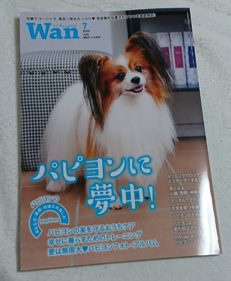 Belle日記 Wan パピヨンに夢中 紗窓ともえ Note