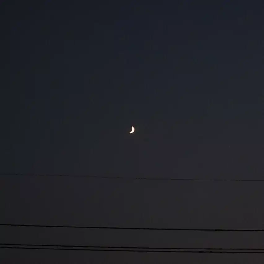 まんぼう