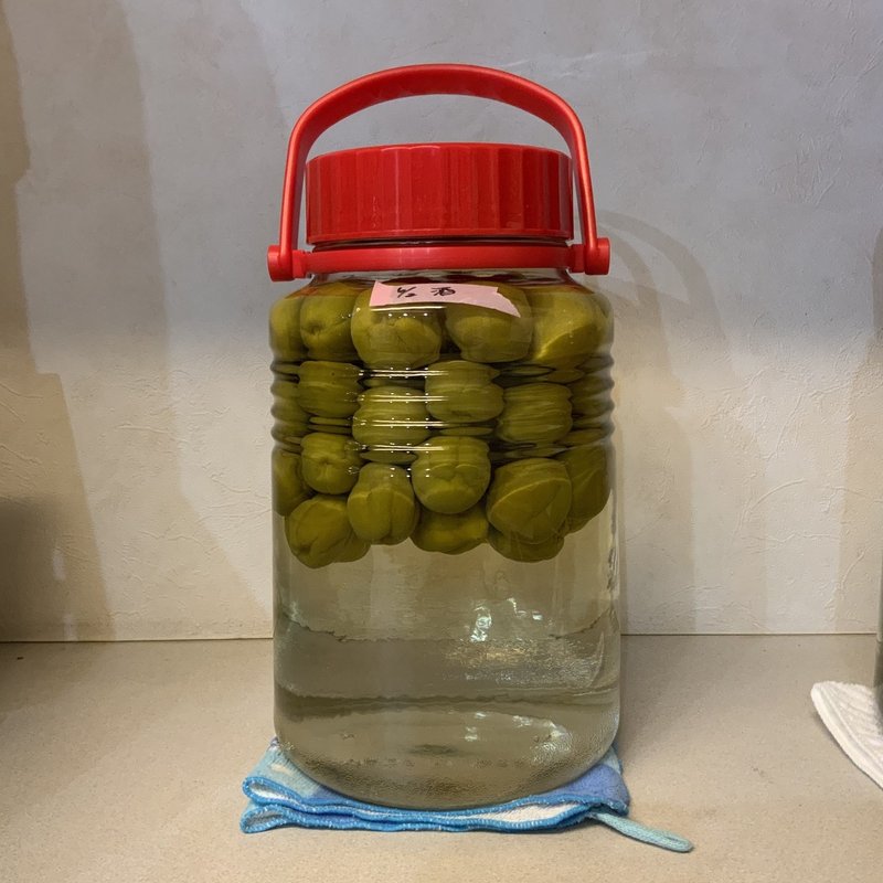 梅酒 造ります ３ 梅太郎のウマイモン日記 ３ イワシ カンパニ 蕪 Note