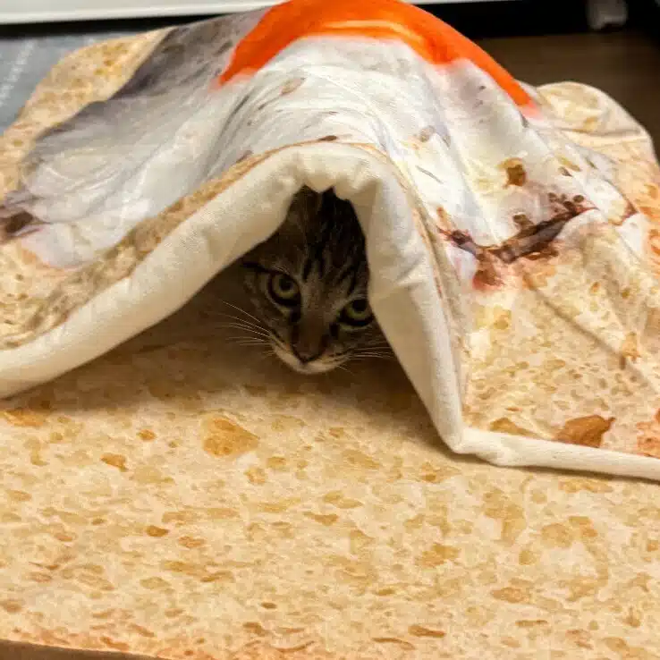 ユータ