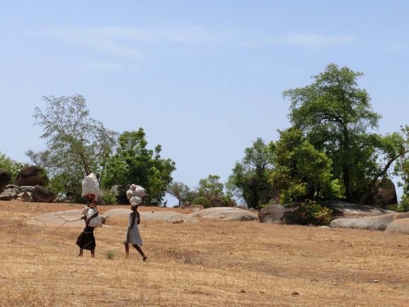 アフリカの女性たちに魅せられて 起業6年目のかご屋代表 ひかる かご専門店orikago代表 Note