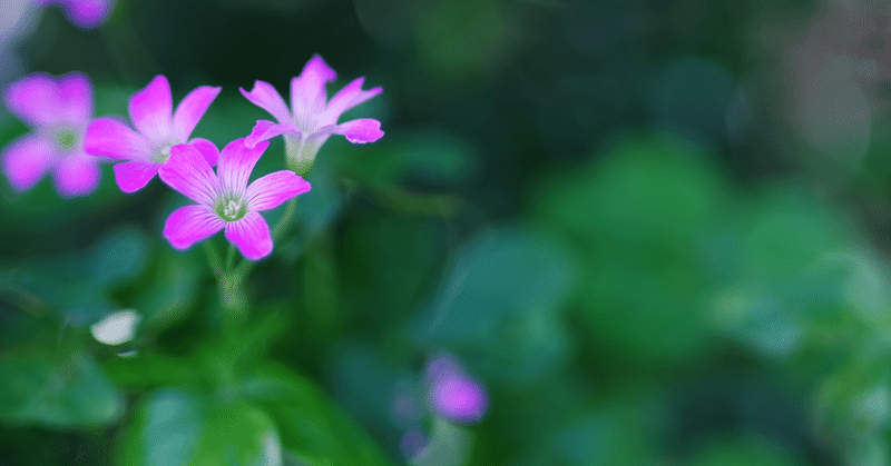 梅雨寒になるらしい