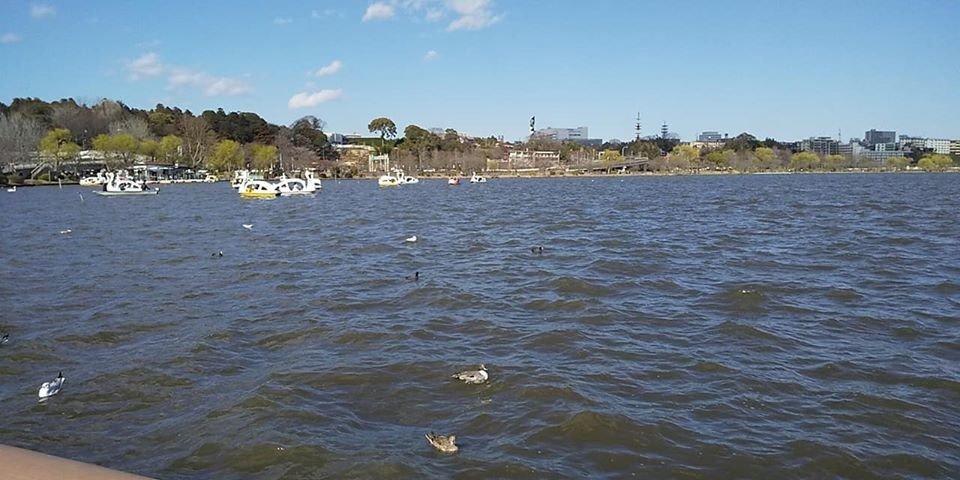 ナカさんの沼活動 千波湖 3 14 ナカさん Note ナカさんの沼活動 千波湖 3 14 ナカさん Note