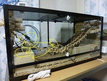 デグーのパンテオン9045生活レビュー みつお Note