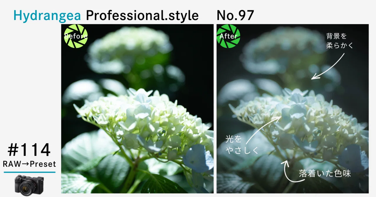 紫陽花様確認ページ 紫陽花をドラマチックに魅せる】5つの世界観。表現を深化させる
