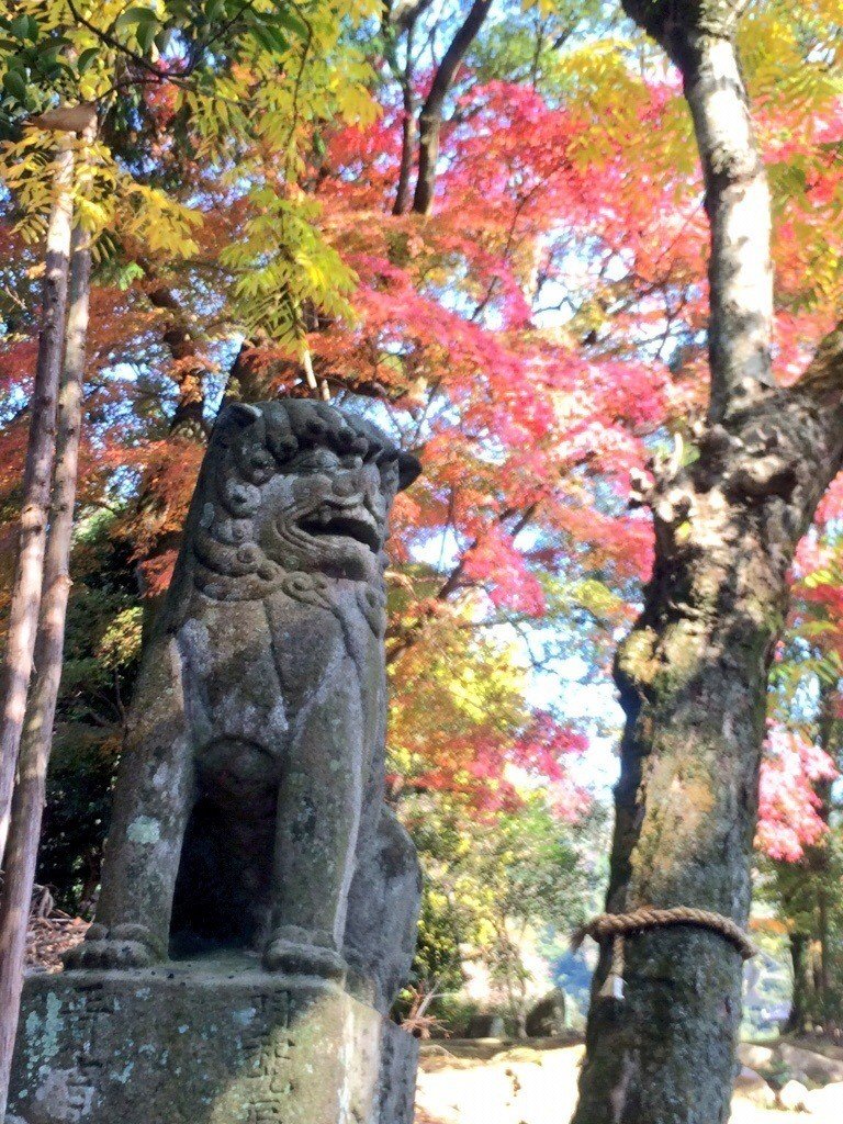 周南市_上野八幡宮_季節とりどりの景色を楽しむ