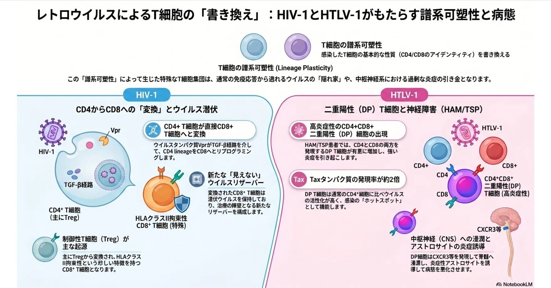電染病ラボ CD 1 SV-2001 HTLV-1・HIV 感染におけるCD4+/CD8+ T 細胞の譜系可塑性と神経障害