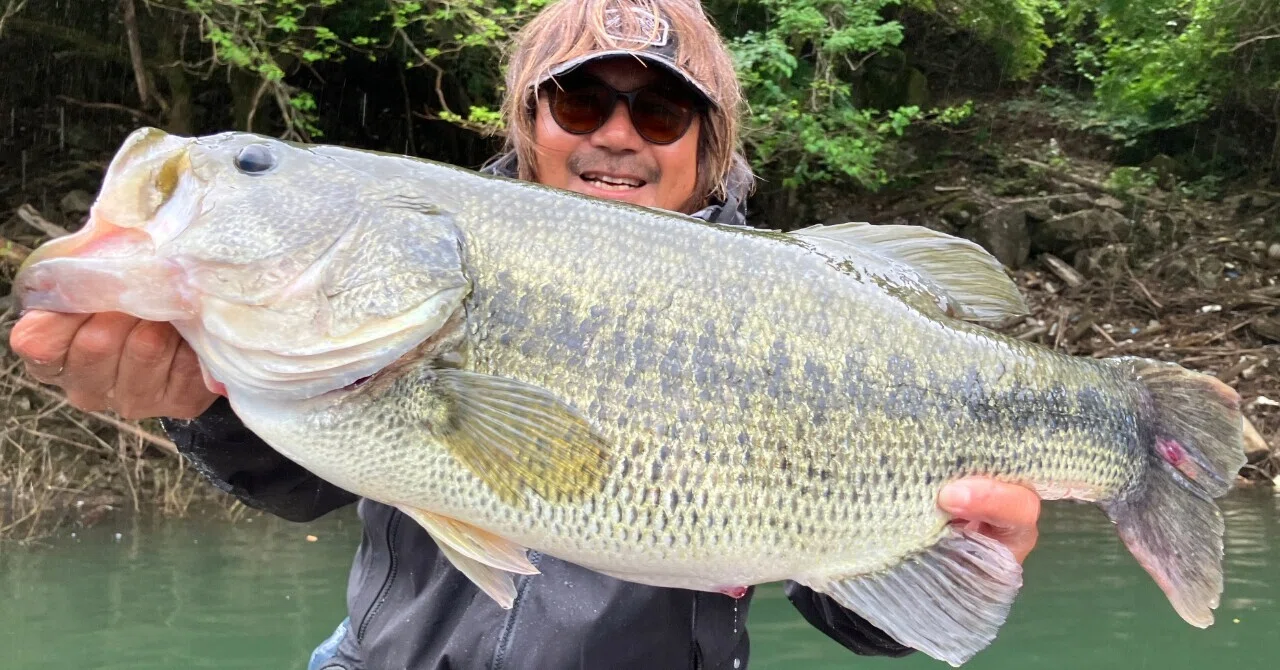 Short Video] A 60cm Bass Appears in Lake Okuyahagi! 