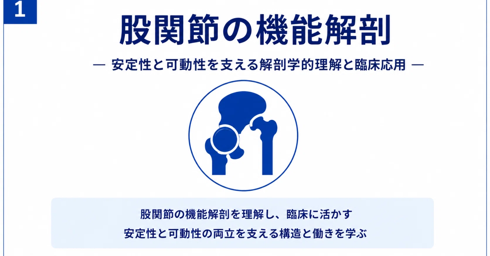 股関節の機能解剖と理学療法― 安定性・可動性・歩行分析を臨床に活かす