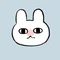 グレうさぎ