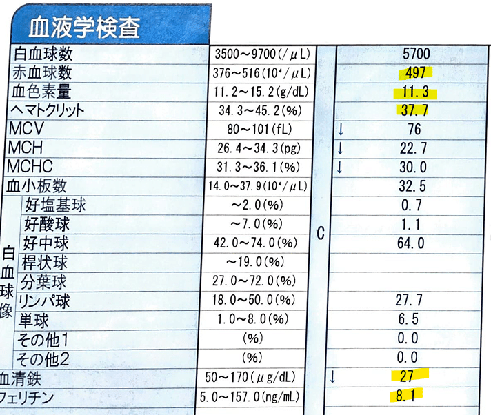 血液 検査 項目 基準 値