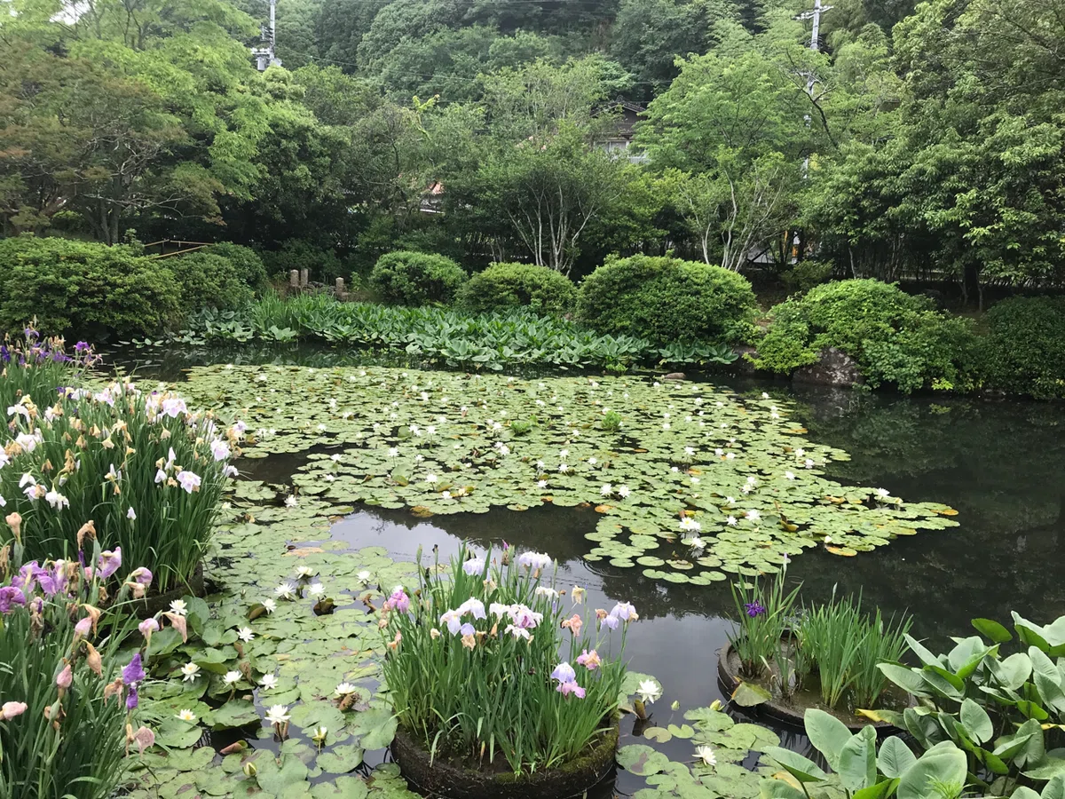 画像5
