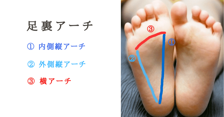 足 底 アーチ