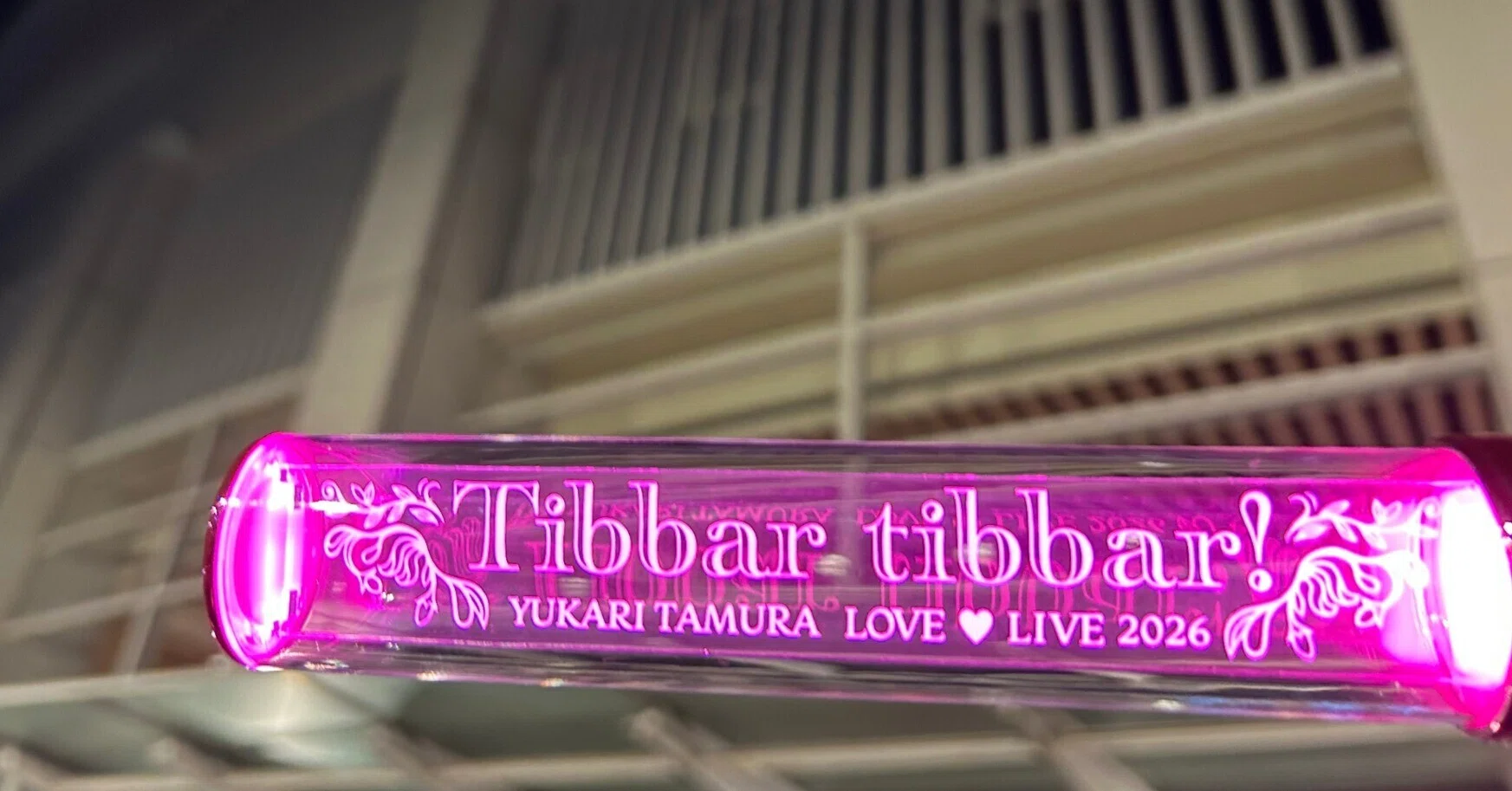 ゆかりん *Tibbar tibbar!* 松戸公演の感想｜あごてつ