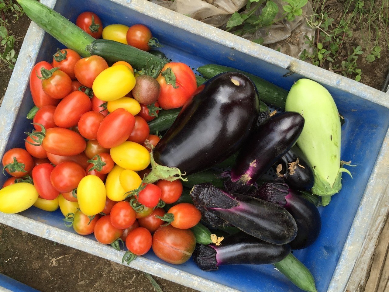 100以上 この気持ちはなんだろう 歌詞 合唱 この気持ちはなんだろう 歌詞 合唱