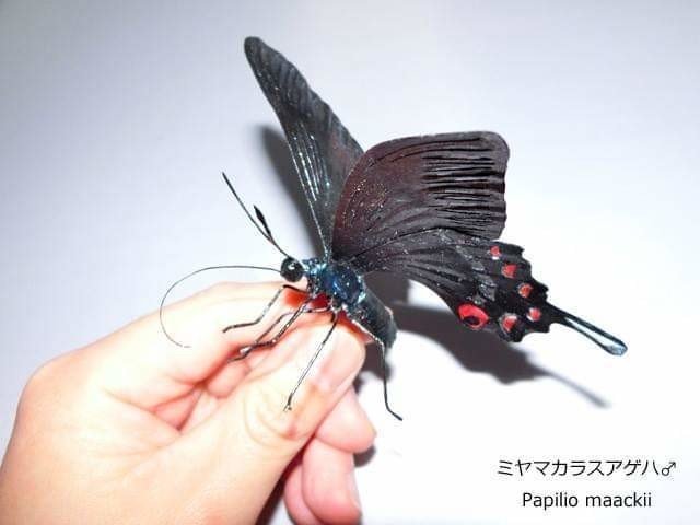 アルバム飾り 蝶々 オーダー受付中( ´ω´)/-ジャパン公式