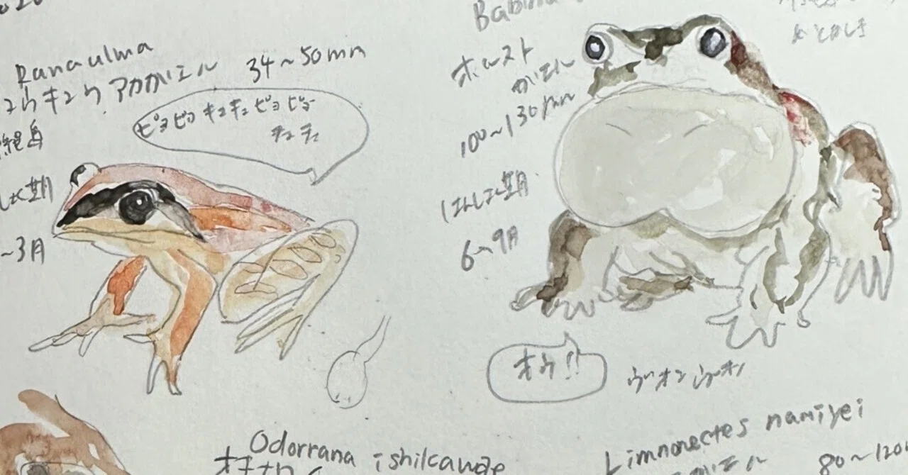カエルの日に意識を変える｜絵・人生・映画・那覇時々やんばる・妄想