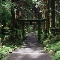 本当のわたしを見せる日は Mulan ムーラン Reflection トド版 Todomadogiwa Note