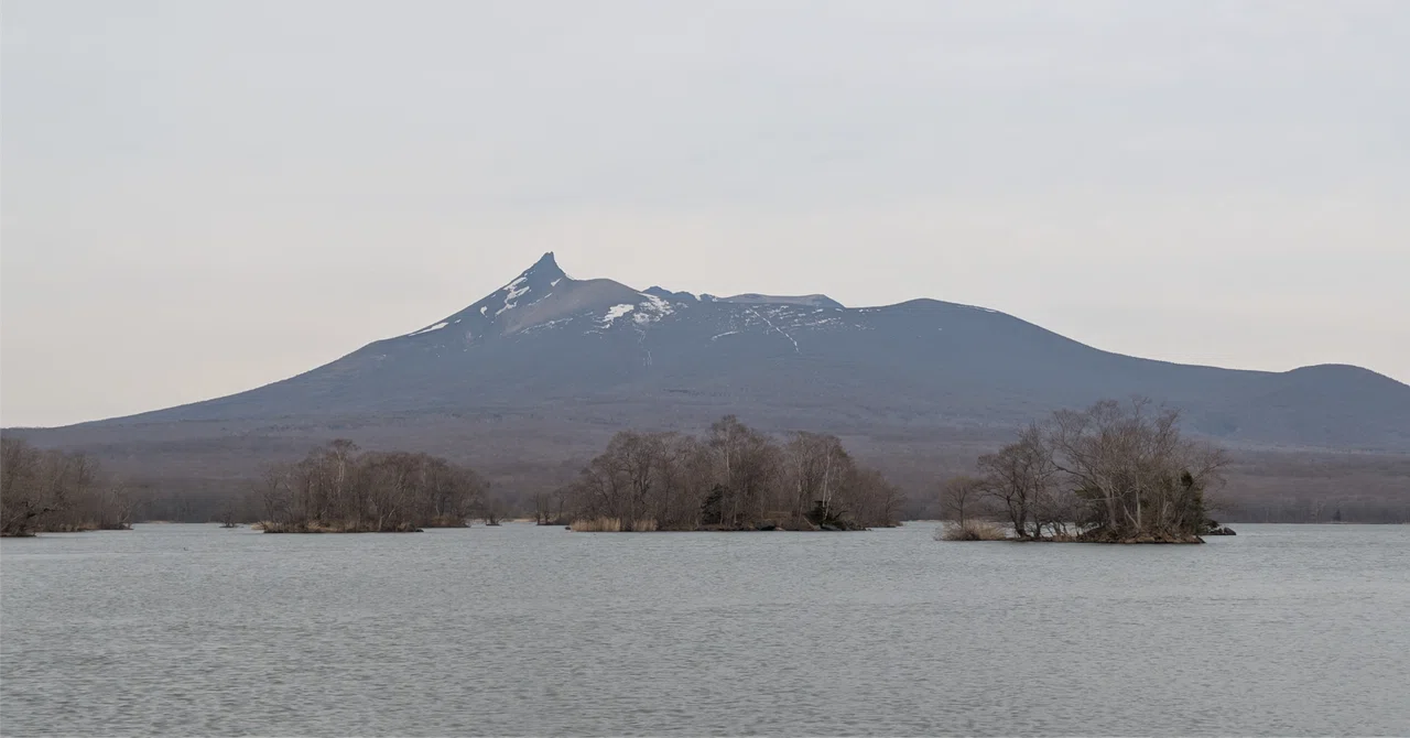 北海道🏞️に行った話②大沼国定公園～昭和新山熊牧場｜たぬ