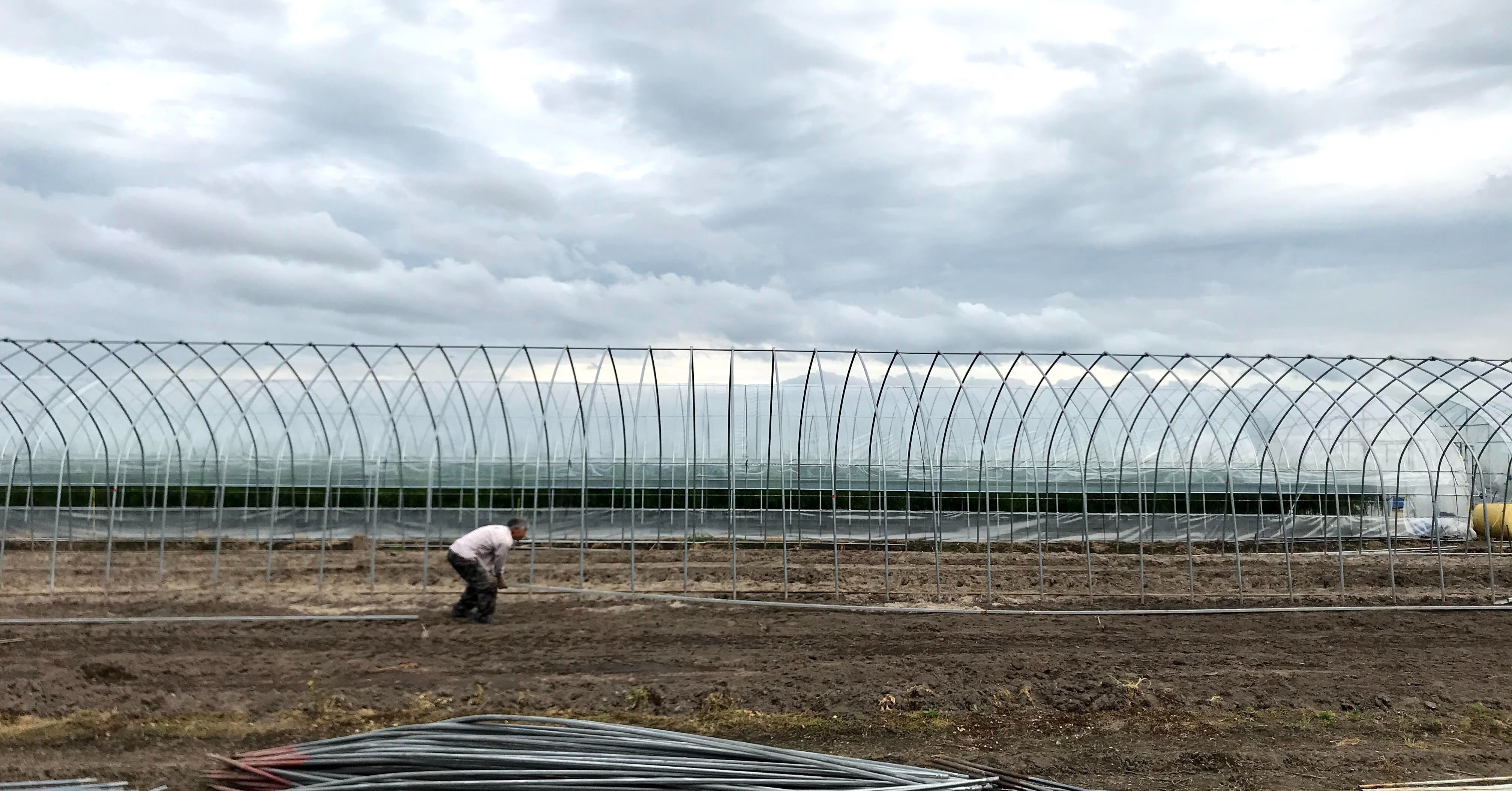 ビニールハウスの骨格ができてきた｜吉田拓実｜さいこうファーム