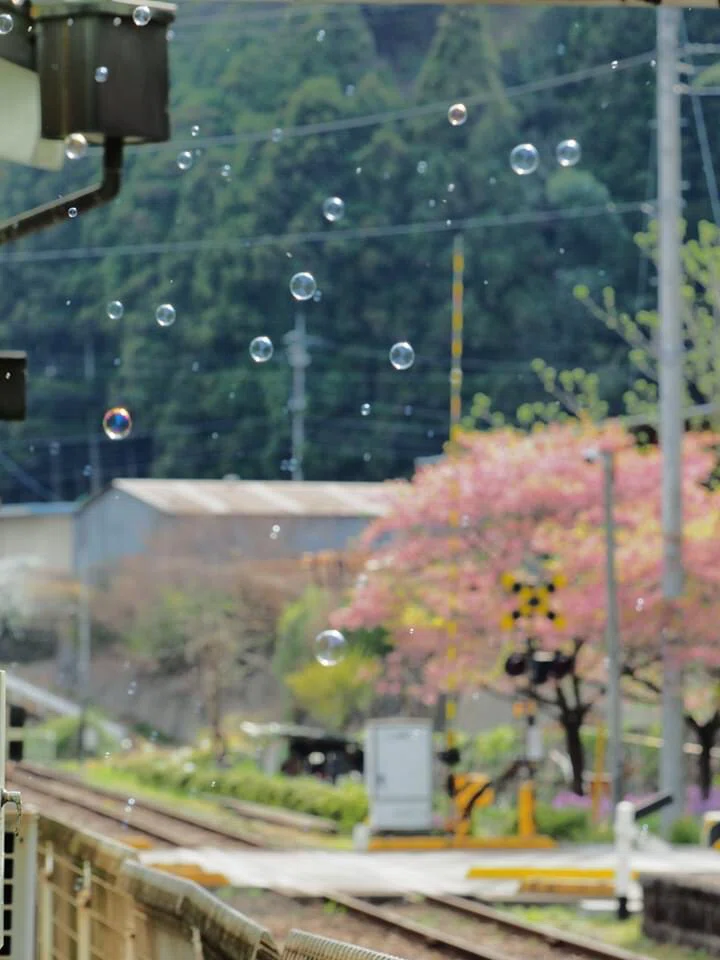 画像9