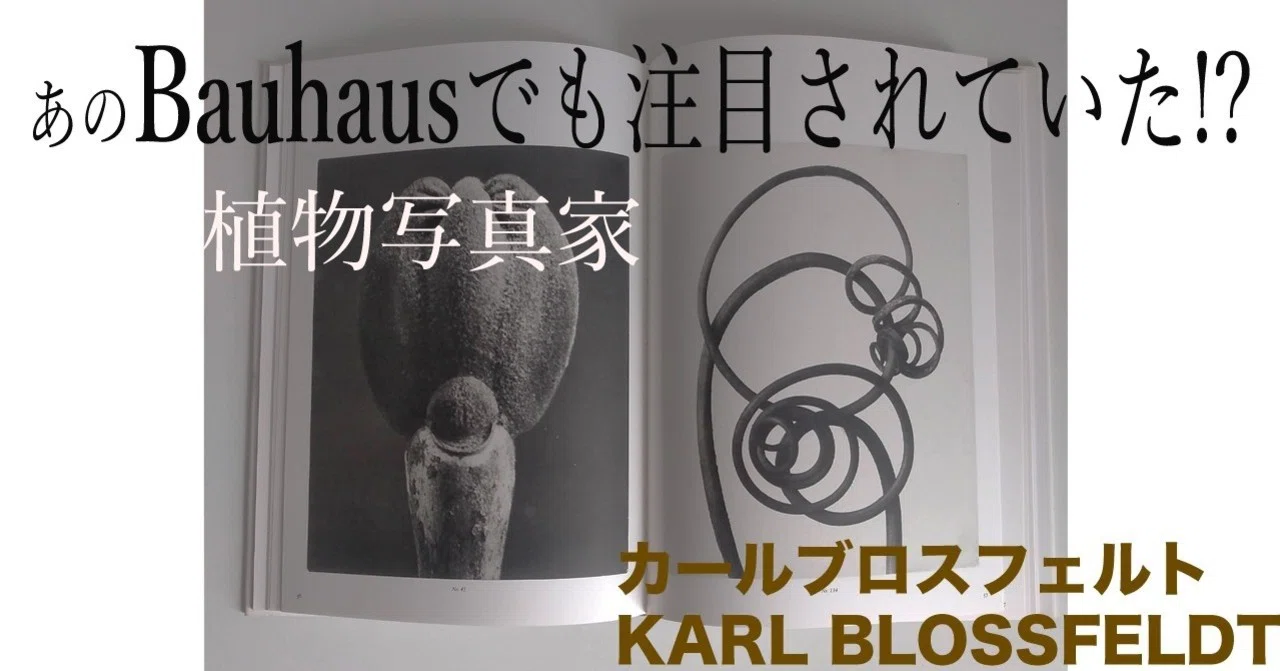 デザインの本質は植物のフォルムにある？カール・ブロスフェルトという 