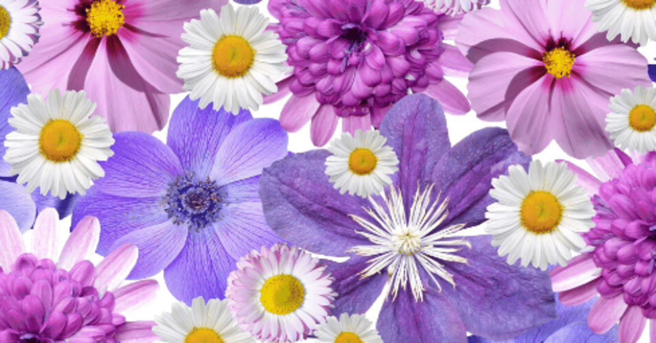 自信があるフリをするのよ しばあき Note