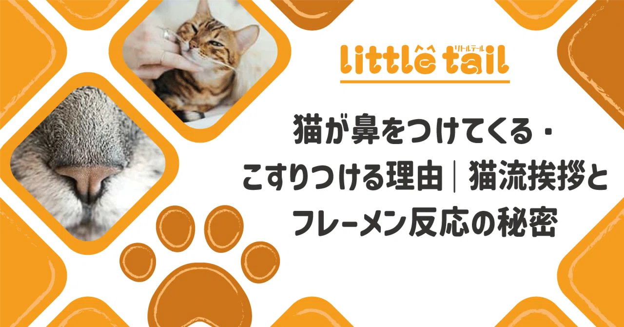 猫が鼻をつけてくる・こすりつける理由|猫流挨拶とフレーメン反応の秘密|little tail|note Blog