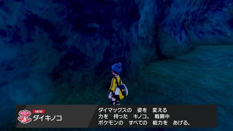 ポケモン剣盾 鎧の孤島における育成環境について イノセント Note ポケモン剣盾 鎧の孤島における育成環境について イノセント Note