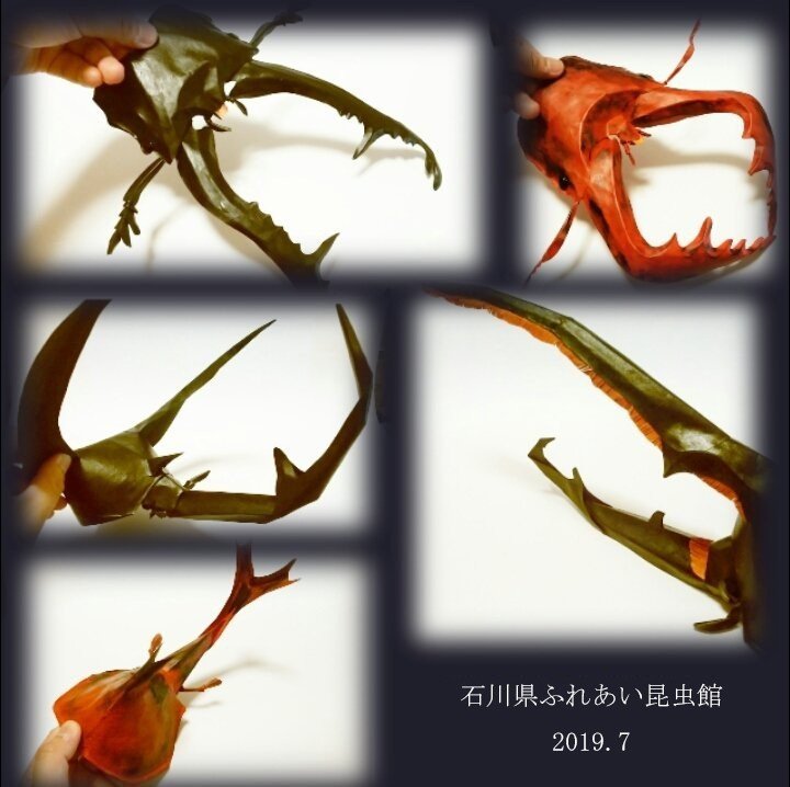 石川県ふれあい昆虫館 19年7月 我流切紙人 ペーパーアーティスト Note